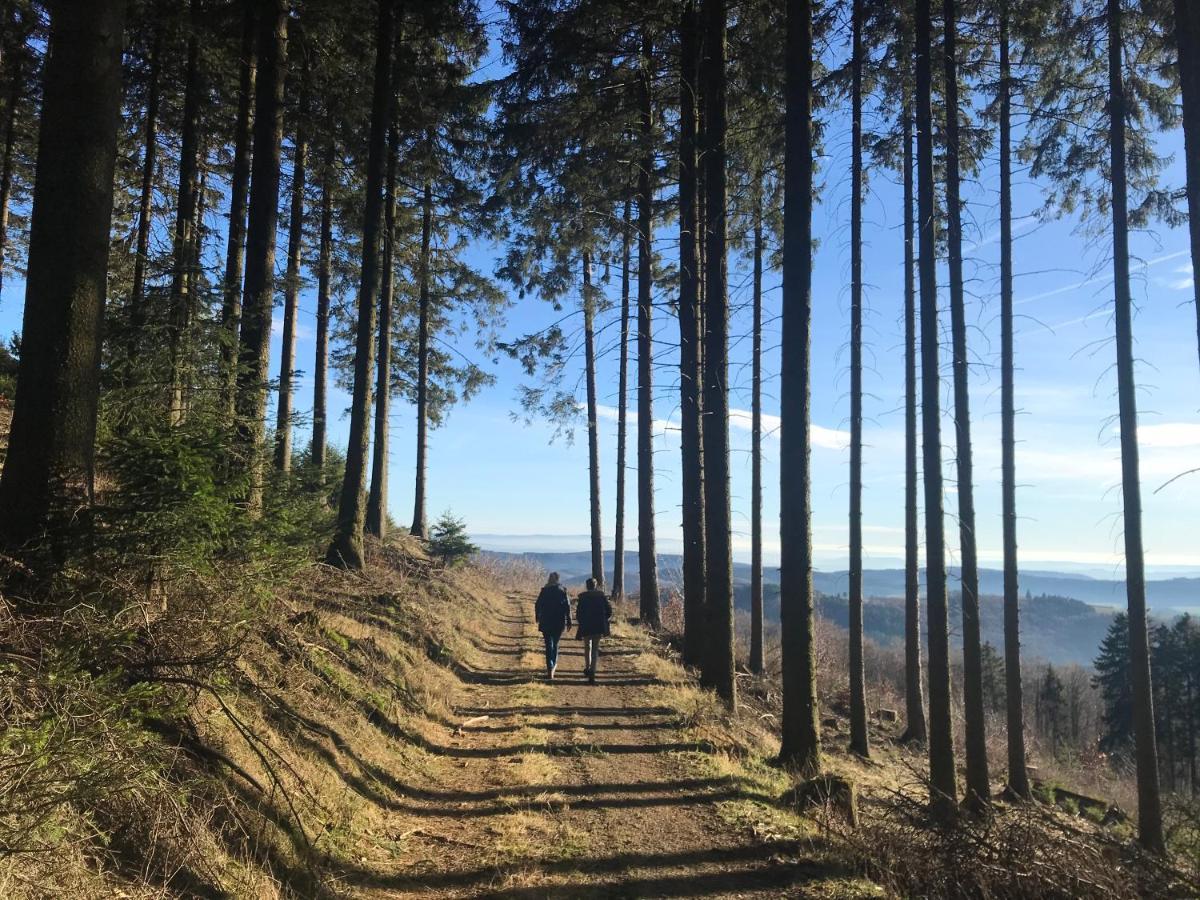 Fewo Gipfelglueck Willingen  Exterior foto