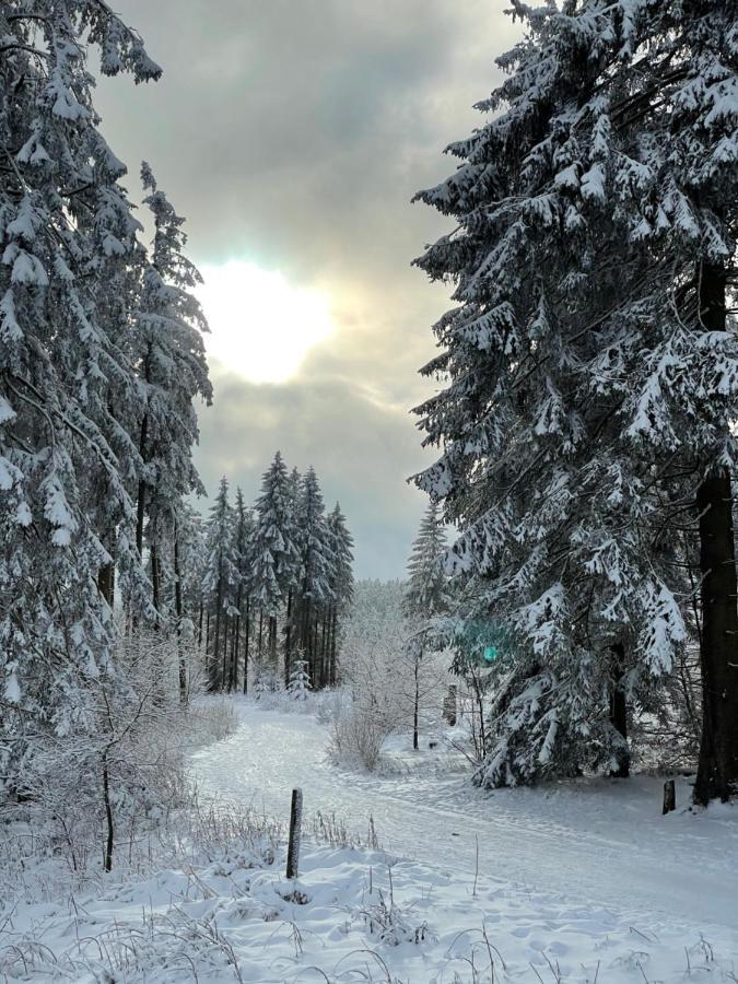 Fewo Gipfelglueck Willingen  Exterior foto